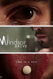 Windsor Drive (2015) online ελληνικοί υπότιτλοι